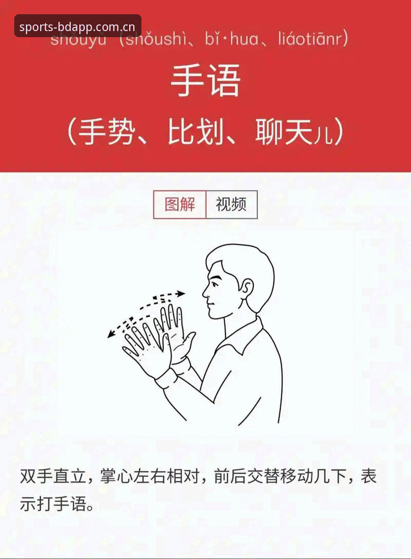 从菜鸟到熟手：我的半岛app桌面版功能深度使用心得与详解